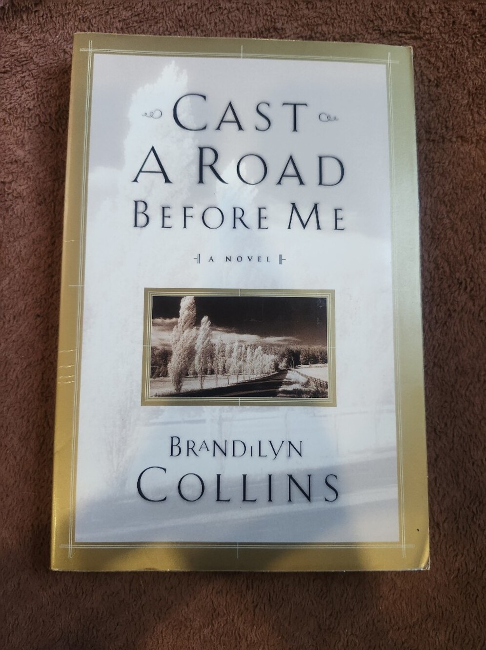 "Cast A Road Before Me" Novel By Brandilyn Collins